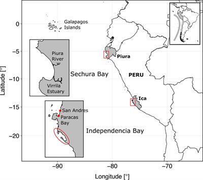 Comparative Food Web Analysis of Two Peruvian Bay Systems Along a Latitudinal Gradient: Resource Use and the Environmental Envelope